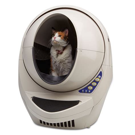 electric kitty litter boxes|best budget automatic litter box.